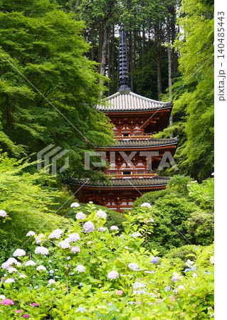 紫陽花のある風景 140485443
