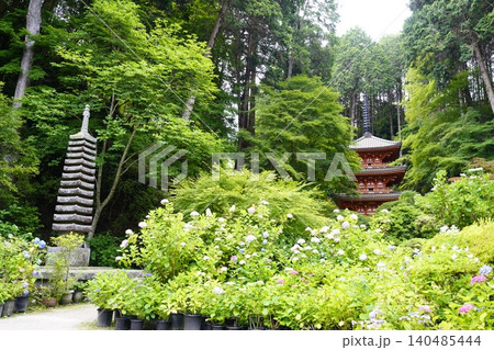 紫陽花のある風景 140485444