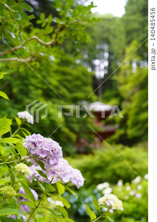 紫陽花のある風景 紫陽花のある風景 140485456