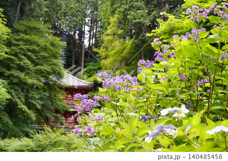 紫陽花のある風景 紫陽花のある風景 140485458