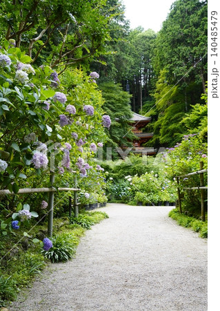 紫陽花のある風景 紫陽花のある風景 140485479