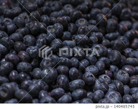close-up of healthy blueberries close-up of healthy blueberries 140485743