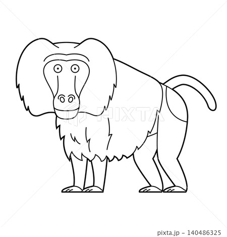 Easy coloring cartoon vector illustration of a baboon Hamadryas or Sacred Bapio isolated on white background Easy coloring cartoon vector illustration of a baboon Hamadryas or Sacred Bapio isolated on white background 140486325