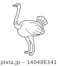 Easy coloring cartoon vector illustration of an ostrich isolated on white background 140486341