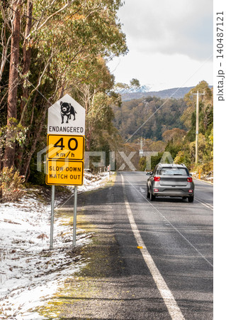 Road Sign Warning Drivers of Tasmanian Devils in Tasmania, Australia Road Sign Warning Drivers of Tasmanian Devils in Tasmania, Australia 140487121
