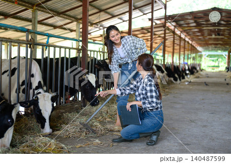 Two women farmers feeding cows and checking data in modern dairy farm Two women farmers feeding cows and checking data in modern dairy farm 140487599