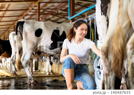 Cleaning cow udder before milking process in dairy farm barn Cleaning cow udder before milking process in dairy farm barn 140487635