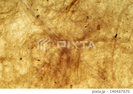 Textured pattern of an old sheet of paper Textured pattern of an old sheet of paper 140487870