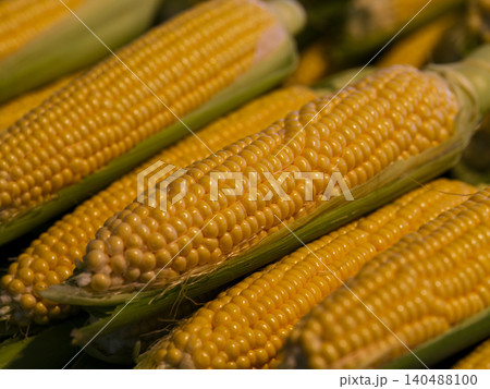fresh and healthy corn at the market fresh and healthy corn at the market 140488100
