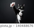 playful tuxedo cat showing sharp claws 140488676