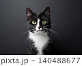 tuxedo cat portrait on black background 140488677