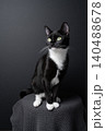 sitting tuxedo cat portrait on black background 140488678