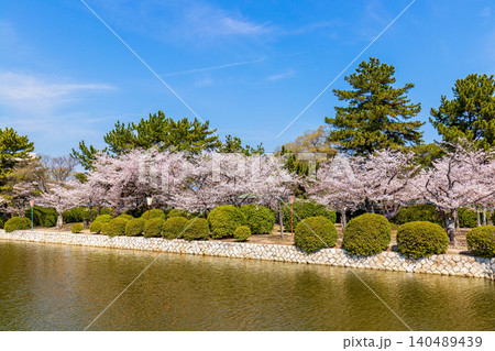 桜のある風景 (4月 晴れ) 桜のある風景 (4月 晴れ) 140489439