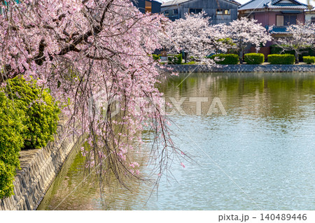桜のある風景 (4月　晴れ) 140489446