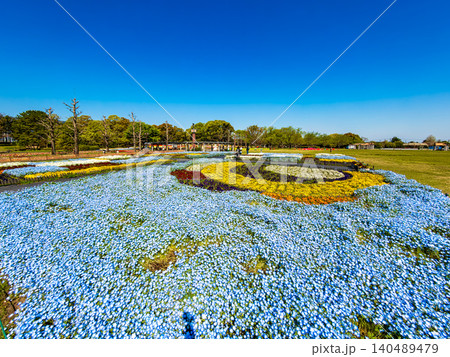チューリップが咲き乱れる公園(4月 晴れ) チューリップが咲き乱れる公園(4月 晴れ) 140489479