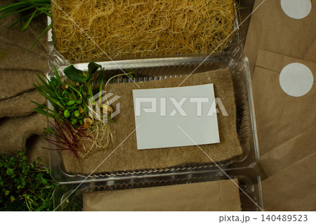 Microgreens seed kit with sprouting mats, kraft bags and plastic trays top view. Indoor microgreens cultivation set in open cardboard box ready for home delivery. Microgreens seed kit with sprouting mats, kraft bags and plastic trays top view. Indoor microgreens cultivation set in open cardboard box ready for home delivery. 140489523