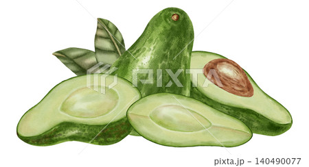 A hand-drawn watercolor illustration of an avocado composition with slices and leaves. Suitable for stores, cafes, packaging, menus, and products related to cooking, skincare, and health 140490077