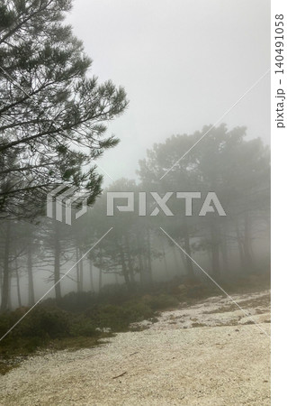 Foggy hiking trail leading toward Sierra Bermeja and the Reales peaks with misty mountain atmosphere near Estepona, Spain. Foggy hiking trail leading toward Sierra Bermeja and the Reales peaks with misty mountain atmosphere near Estepona, Spain. 140491058