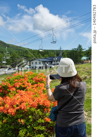 初夏の湯の丸高原 レンゲツツジを撮影する女性 初夏の湯の丸高原 レンゲツツジを撮影する女性 140492763
