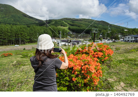 初夏の湯の丸高原 レンゲツツジを撮影する女性 初夏の湯の丸高原 レンゲツツジを撮影する女性 140492769