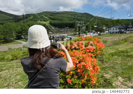 初夏の湯の丸高原 レンゲツツジを撮影する女性 初夏の湯の丸高原 レンゲツツジを撮影する女性 140492772