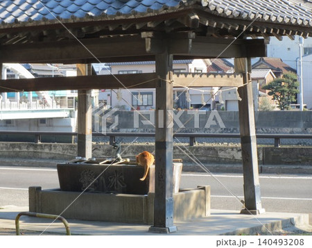 2014年・香川・観音寺・八幡・風景・神社・琴引八幡宮・其の百六十 2014年・香川・観音寺・八幡・風景・神社・琴引八幡宮・其の百六十 140493208