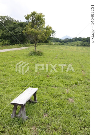 草原の広場にポツンと置かれたベンチ。緑の芝生。静寂の風景 草原の広場にポツンと置かれたベンチ。緑の芝生。静寂の風景 140493251