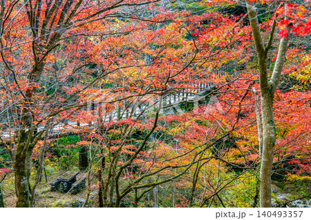 茨城 紅葉に染まる花貫渓谷 茨城 紅葉に染まる花貫渓谷 140493357