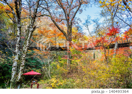 茨城 紅葉に染まる花貫渓谷 茨城 紅葉に染まる花貫渓谷 140493364