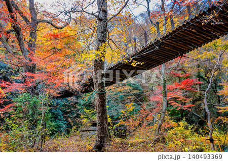茨城 紅葉に染まる花貫渓谷 140493369