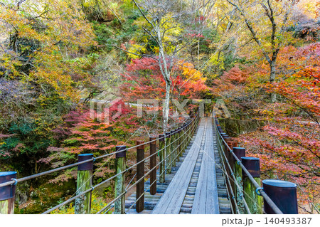 茨城 紅葉に染まる花貫渓谷 140493387