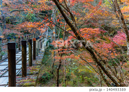 茨城 紅葉に染まる花貫渓谷 140493389