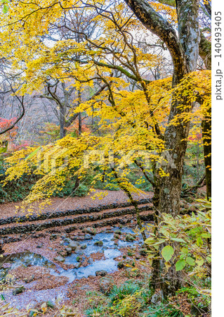茨城 紅葉に染まる花貫渓谷 茨城 紅葉に染まる花貫渓谷 140493405