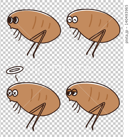 Illustration of flea Illustration of flea 140493965