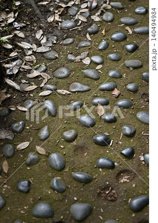 苔に埋め込まれた黒い丸石と落ち葉 庭園の足元クローズアップ 苔に埋め込まれた黒い丸石と落ち葉 庭園の足元クローズアップ 140494984