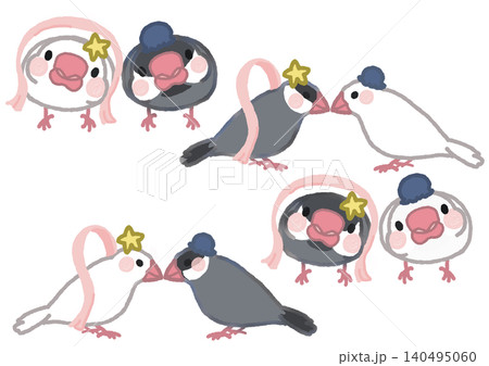 七夕の白文鳥と桜文鳥のセットイラスト 七夕の白文鳥と桜文鳥のセットイラスト 140495060