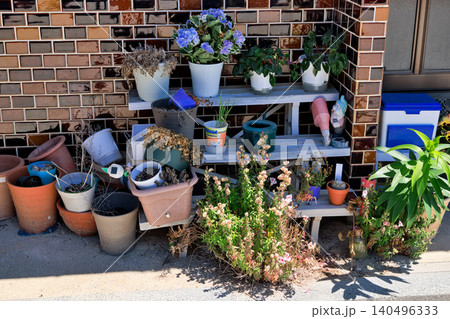 昭和の日本家屋の玄関先に並べられた植木鉢 昭和の日本家屋の玄関先に並べられた植木鉢 140496333