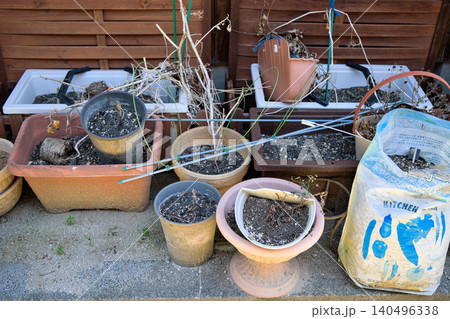 植物が枯れて土だけが残った複数のプランターや植木鉢 植物が枯れて土だけが残った複数のプランターや植木鉢 140496338