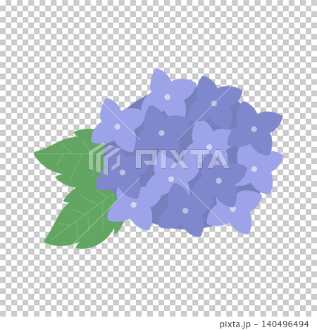 Hydrangea (single flower, blue) Hydrangea (single flower, blue) 140496494