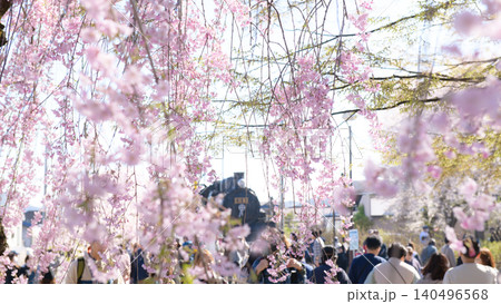 日中線枝垂れ桜並木 賑わうSL広場 福島県 日中線枝垂れ桜並木 賑わうSL広場 福島県 140496568