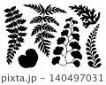 Vector fern leaves silhouette set illustration. Hand drawn black foliage frond and botanical branch with natural shape. Flora design for logo icon template. Woodland clipart collection for stamp art. 140497031
