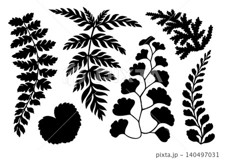 Vector fern leaves silhouette set illustration. Hand drawn black foliage frond and botanical branch with natural shape. Flora design for logo icon template. Woodland clipart collection for stamp art. Vector fern leaves silhouette set illustration. Hand drawn black foliage frond and botanical branch with natural shape. Flora design for logo icon template. Woodland clipart collection for stamp art. 140497031