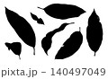 Vector Sanchezia plant tropical leaves silhouette set. Hand drawn black leaf and botanical element with decorative shape. Flora design for logo icon template. Natural clipart collection for stamp art. 140497049