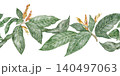Watercolor Sanchezia speciosa seamless border. Hand drawn arrangement with green leaf and flower in botanical style. Exotic floral natural divider design for garden card or botanical art template 140497063