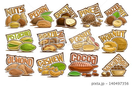 Vector Nut Set Vector Nut Set 140497356