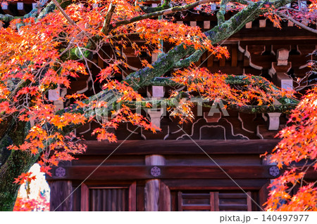Historic Main Hall of Shinnyodo Temple in Kyoto Nov 26 2025 140497977