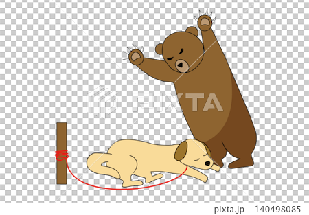 Illustration of an outdoor dog being attacked by a bear (Pet dangers to wild animals, warning, urban bear) Illustration of an outdoor dog being attacked by a bear (Pet dangers to wild animals, warning, urban bear) 140498085