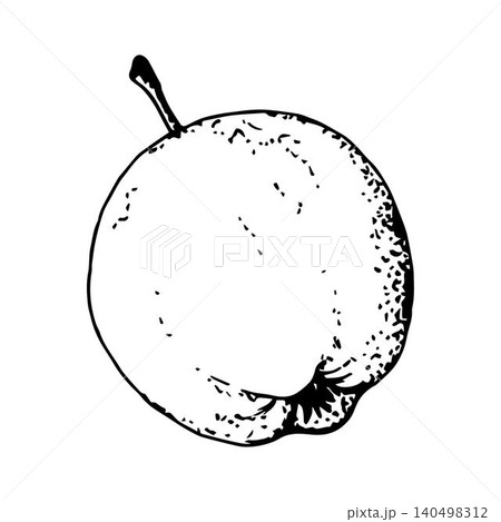 Hand-drawn simple vector sketch with black outline. Fruit apple. Vitamin juice. Organic product, garden, label, sticker, coloring. Ink drawing. 140498312