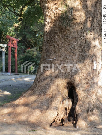 2014年・香川・観音寺・八幡・風景・神社・琴引八幡宮・其の百六十九 2014年・香川・観音寺・八幡・風景・神社・琴引八幡宮・其の百六十九 140499185