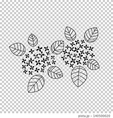 Simple hydrangea line drawing illustration 140500020